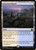 Deserted Beach (MID) (Foil) (#260)