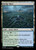 Hedge Maze (MKM) (Foil) (#262)