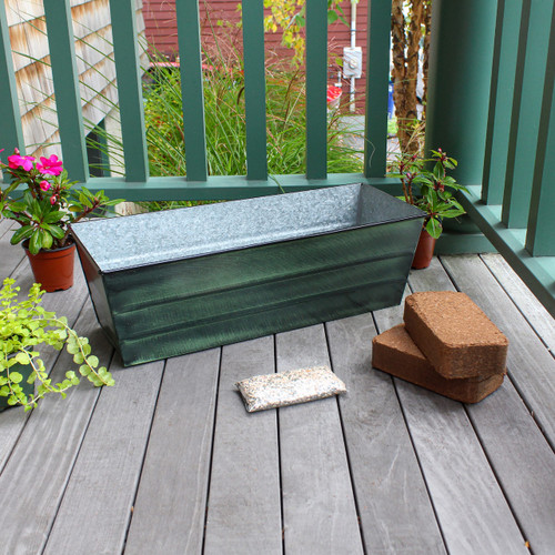 Bloom Box Garden Growing Kit, Medium Green