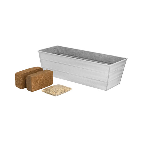 Bloom Box Garden Growing Kit, Medium White
