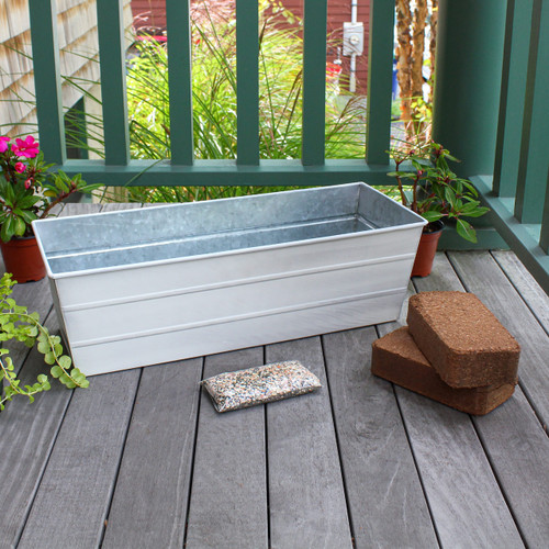 Bloom Box Garden Growing Kit, Medium White