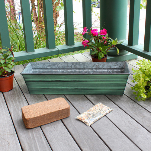 Bloom Box Garden Growing Kit, Small Green