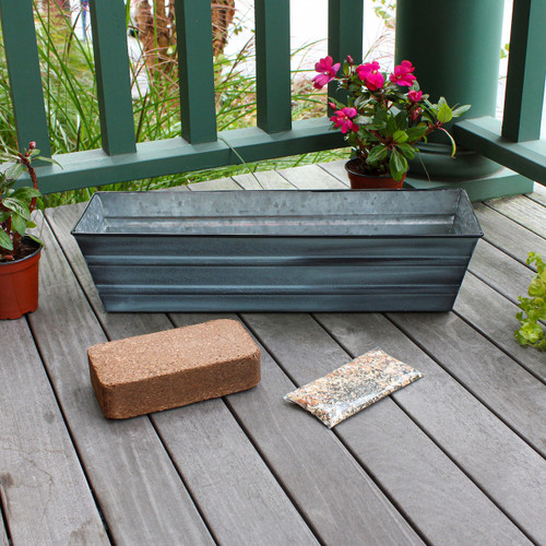 Bloom Box Garden Growing Kit, Small Nantucket Blue