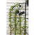 Sunflower Trellis