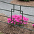 Square-on-Squares Fence Section, pack of 4