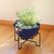 Jane II Planter- French Blue Bowl