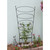 Ovals Trellis
