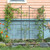 Square-on-Squares Center Link Trellis