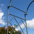 Lattice Tunnel Arbor