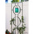 Samsara Trellis