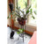 Tulip Plant Stand, without Insert