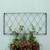 Oxfordshire Trellis Extension