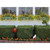 Large Green Galvanized Flower Box