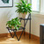 Duet Plant Stand