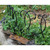 Scroll Fence Sections, pack of 4
