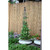 3 Rings Obelisk
