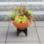 Norma I Planter- Burnt Sienna Bowl
