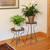24"H Capri Plant Stand
