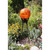 12" Gazing Globe, Mandarin