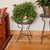 18"H Capri Plant Stand