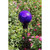 12" Gazing Globe, Blue