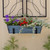 Bloom Box Garden Growing Kit, Small Blue with Wall Brackets,