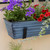 Bloom Box Garden Growing Kit, Small Blue with Wall Brackets,