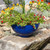 Small Planting Bowl, French Blue