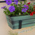 Bloom Box Garden Growing Kit, Small Green with Wall Brackets,