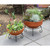 Piazza Plant Stands, Set of Two