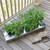 Large Tray