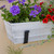 Bloom Box Garden Growing Kit, Small White with Wall Brackets,