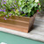 Bloom Box Garden Growing Kit, Medium Copper