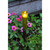 Yellow Sparkle Cones