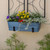 Medium Blue Flower Box- Wall Brackets