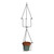 Vera Hanger, pack of 2