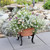 Denise I Plant Stand