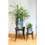 Ibex I Plant Stand