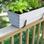 Medium Cape Cod Flower Box