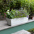 Medium Cape Cod Flower Box