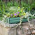 Bloom Box Garden Growing Kit, Small Green