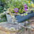 Bloom Box Garden Growing Kit, Small Nantucket Blue