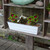 Bloom Box Garden Growing Kit, Small Cape Cod White