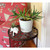 25"H Flowers Plant Stand