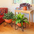 Jane I Planter- Burnt Sienna Bowl