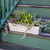 Small Cape Cod White Flower Box