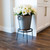 8"H Argyle Plant Stand