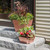 Small Copper Plated Tapered Planter