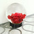 Flower Aquarium