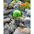 Toadstool, Fern Green
